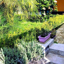 Sandel home, Catania — photo 2