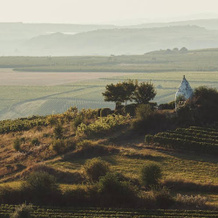 Weingut & Weinparadies Meyerhof, Флонхайм — фото 3