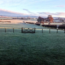 Cundall Lodge Farm, Кандалл — фото 2