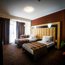 Hotel Ozana, Бистрица — фото 4