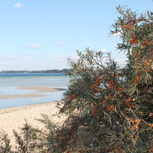 Wohnung in Elmenhorst Nahe Ostseestrand, 瓦恩肯哈根 — 照片 3