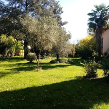 I Giardini di Palazzo Ducale (Adults Only), 皮耶特拉梅拉拉 — 照片 4
