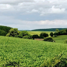Landgasthof Bergische Rhon, Линдлар — фото 4