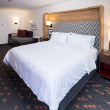 Holiday Inn & Suites Detroit - Troy by IHG, 特洛伊 — 照片 3