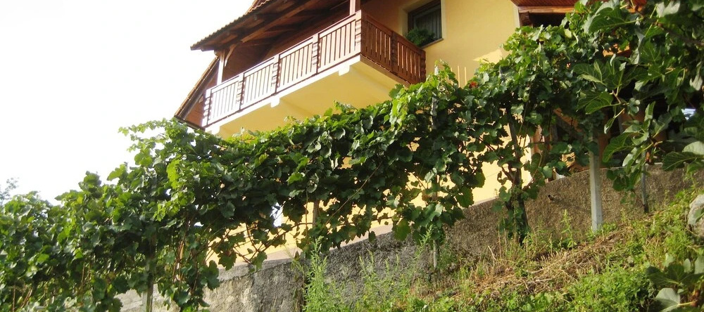 Vineyard Cottage Ucman, Ново Место — фото 1