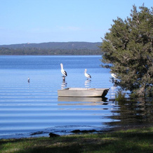 Denmark Waters B&B, Denmark — photo 4