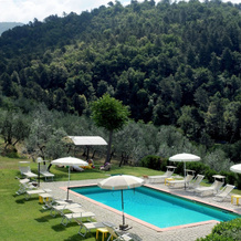 Organic Farmholiday In The Middle Of Olive Grove 1, 卡斯泰尔弗兰科皮安迪斯科 — 照片 4
