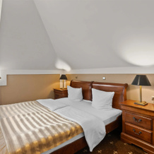 Hotel Diament Arsenal Palace Katowice/Chorzów, 霍茹夫 — 照片 5