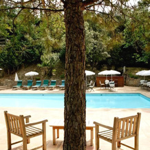 Domaine D'auriac, Каркасон — фото 5