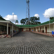 Homocation Bagori Kaziranga, Багори — фото 5