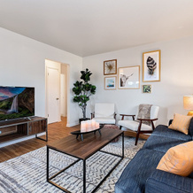Centrally Located Townhome Near PVH - Dog Friendly, 柯林斯堡 — 照片 4