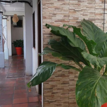 Hotel Aldea Casa de los Mariscos, 蓬塔雷纳斯 — 照片 5