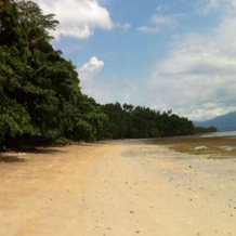 Bunaken Oasis Dive Resort and Spa, Manado — photo 5