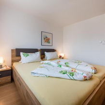 Ferienwohnungen Plattnerhof, Кематен — фото 2