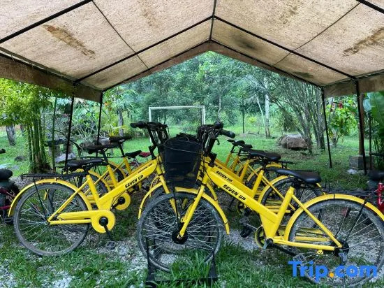Canopy Villa Tampik Valley, Janda Baik — photo 1