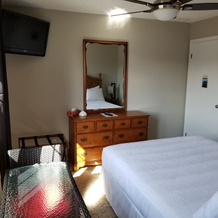Bee 'n Bee Bed n' Breakfast, 兰姆顿海岸 — 照片 2