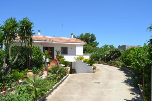 Bed & Breakfast Corte Delle Rose Villa Sitrie, 穆罗莱切塞 — 照片 1