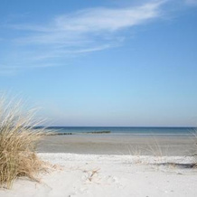 Ferienwohnung Ostseestrand Zingst, 青斯特 — 照片 5