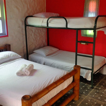 Cabañas y Flores Finca Hotel, 杰里科 — 照片 5