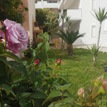 Vakakis Me Apartments, Paleochora — photo 2