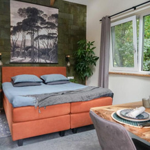 ForRest Suites, 埃尔默洛 — 照片 4