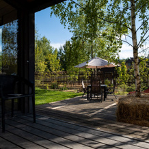 Shalfey House Guest house, Cottage village Ilyichevka — photo 4