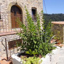 Casa Dell'Angelo, 新马格拉堡 — 照片 4