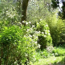 In centro - Mutino, 马萨罗萨 — 照片 2