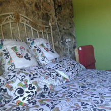 Apartamentos Rurales La Pinietsa, Pola de Somiedo (La Pola) — photo 2