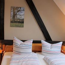 Landhotel Belitz, 屈斯滕 — 照片 3