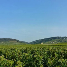 Gîte Des Vignes, Бон — фото 5