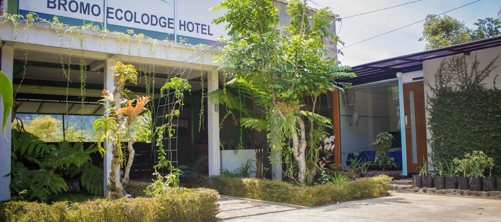 Bromo Ecolodge, 萨皮克雷普 — 照片 1