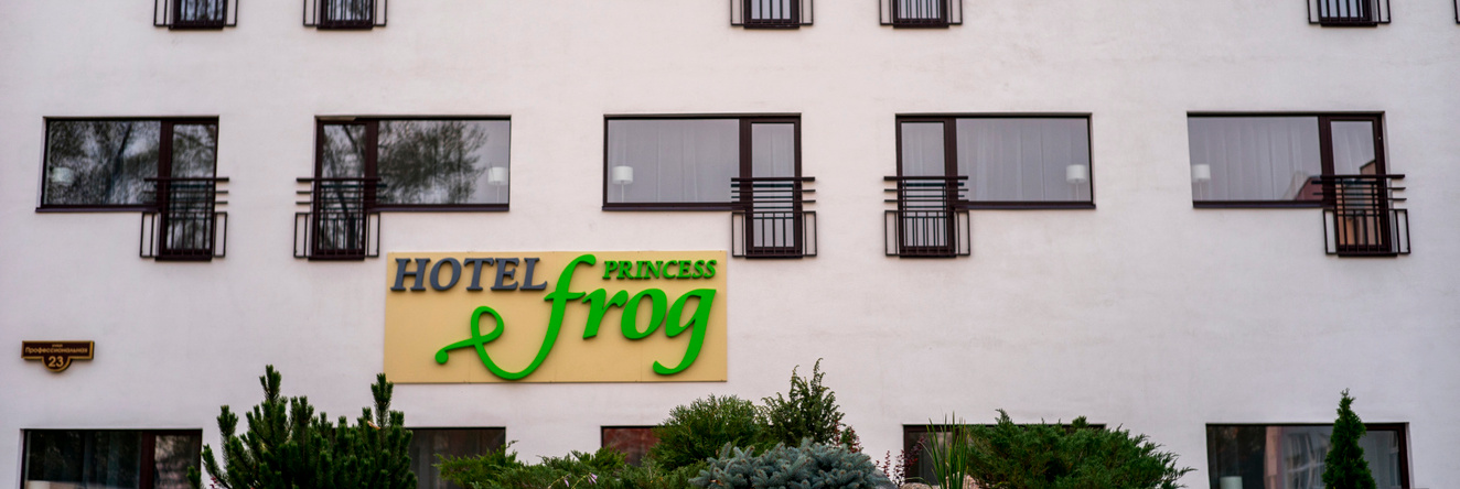 Princess Frog, Дмитров — фото 1