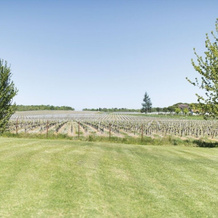 Domaine de Quittignan Brillette, 穆利昂梅多克 — 照片 4