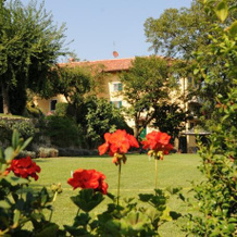 Antico Pozzo, Bene Vagienna — photo 4