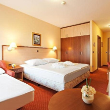 Hotel Zeleni Gaj, Верзей — фото 2