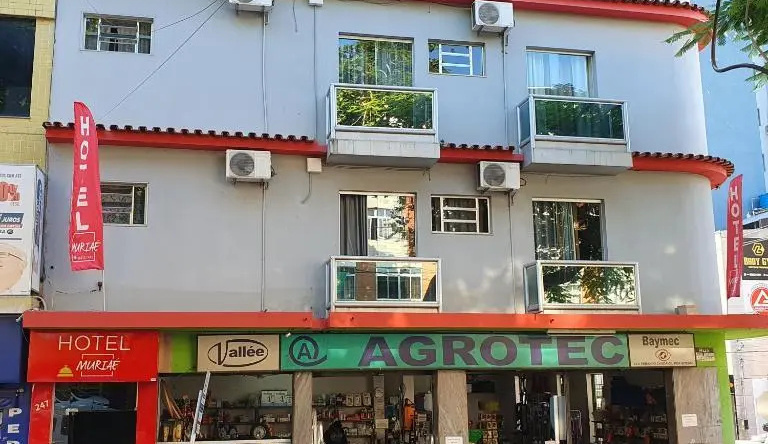 Oyo Hotel Muriaé, Муриаэ — фото 1