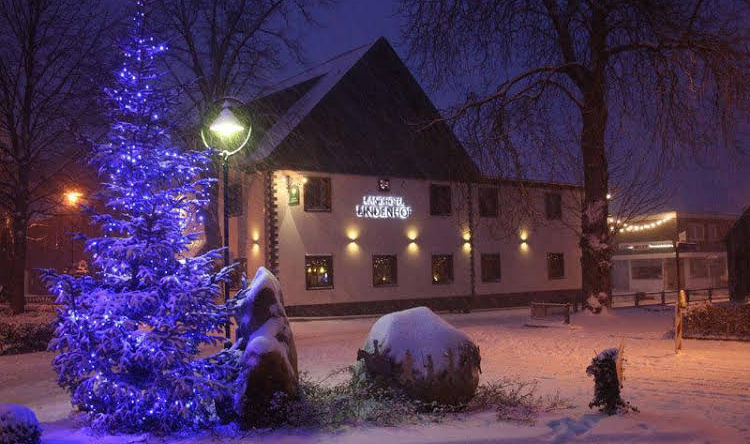 Landhotel Lindenhof, Гревенброх — фото 1