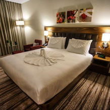 Hilton Garden Inn Eskisehir, Eskisehir — photo 4
