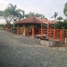 Hacienda El Saman, Quimbaya — photo 2