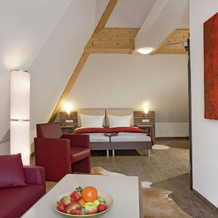 Hotel Pfälzer Hof, Edenkoben — photo 4