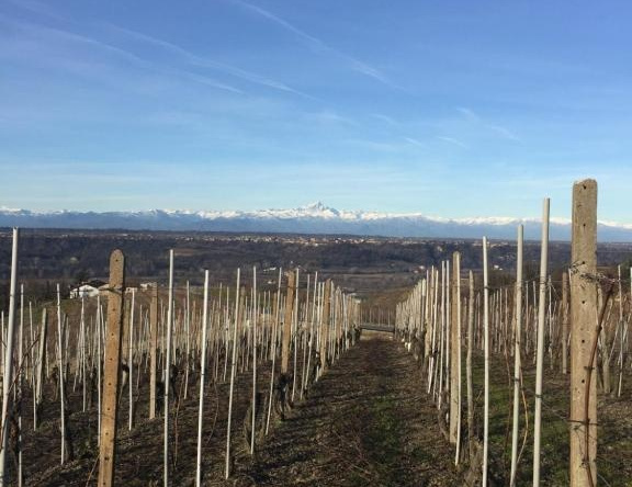 Appartamento Nelle Langhe, Новелло — фото 1