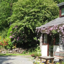 Kilsby Country House, 兰沃蒂德韦尔斯 — 照片 3