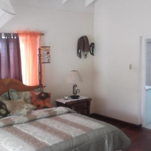 Hill Top Kingston Jamaica Bed & Breakfast, 雷德加尔林格 — 照片 2