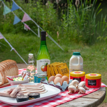 Lloyds Meadow Glamping Delamere Chester, 阿什顿 — 照片 4