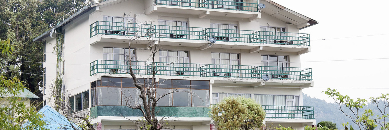 The Ayali Fernhill Resort, Chail, Chail — photo 1
