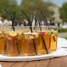 De Vere Venues Theobalds Park, Уолтем-Кросс — фото 5