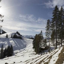Hotel Rigi First, 阿尔特 — 照片 4