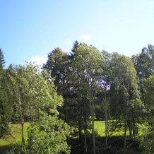 Horský apartmán Krkonoše, 维特科维采 — 照片 5