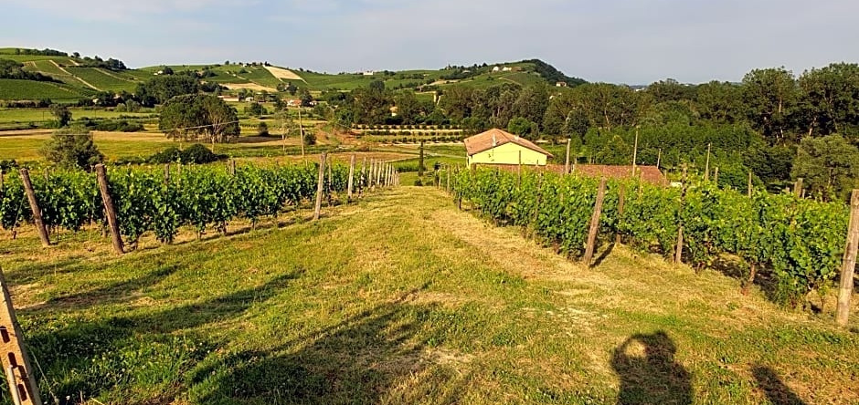 Villa Vigneto, San Marzano Oliveto — photo 1